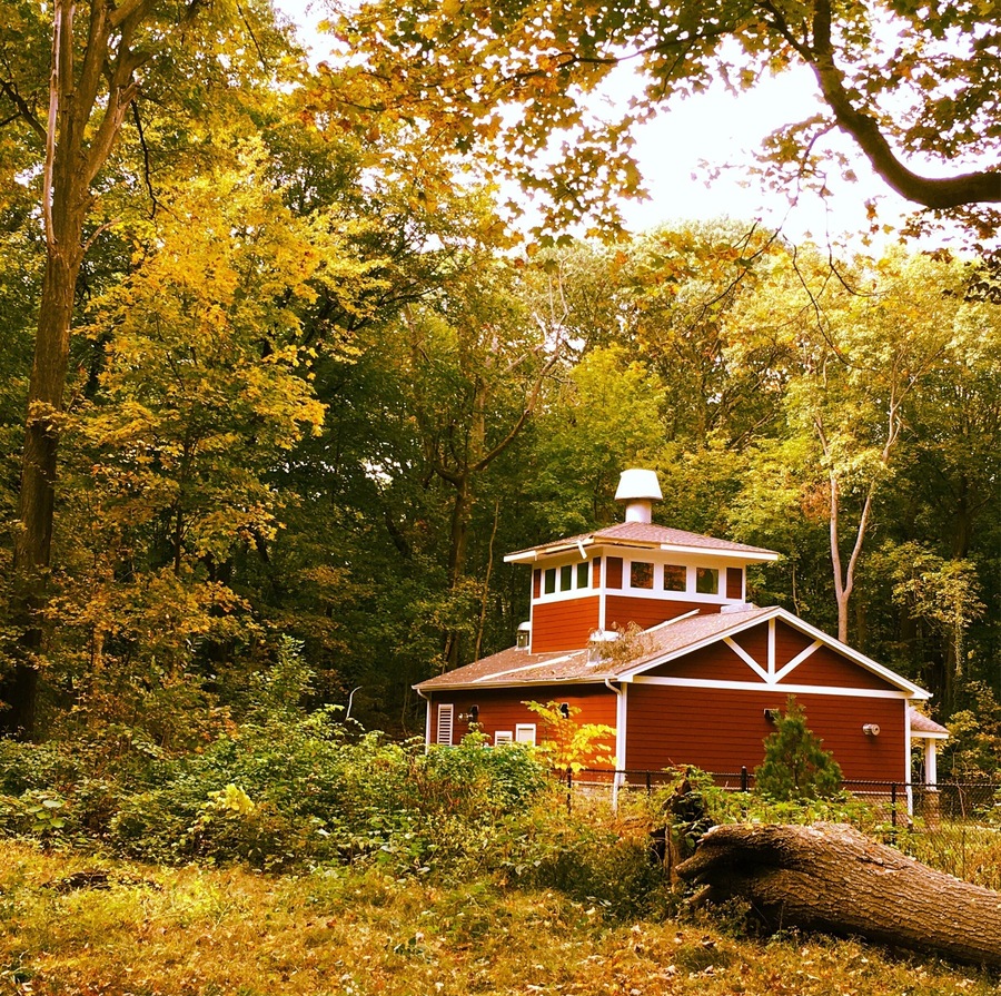 There are some parks near residential areas on Long Island, people from local usually go those places for hiking vey often. It's getting more crowded in autumn because all the leaves have turned to rich and deep color. Christopher Morley Park is one of them, its natural beauties and fresh air are the major elements people are full in love with . there's a hiking trail around the hill, lt is always beautiful when we go hiking, but the most wonderful time is in fall , it's really scenic hiking . every leaf starts tuning color like a flower. #trover
