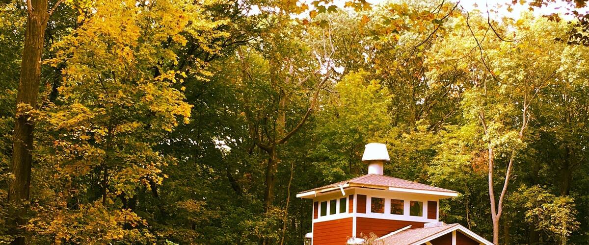 A red wooden cabin surrounded by dense forest.