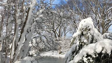 On the northeast coast, there are several flurries of snow in this winter season. But this is the heaviest one and the most beautiful and breathtaking .As soon as the snowing stops, we rush to the garden and try to catch the pretty pictures before sunshine because we want to see all the snows occupied on tips of trees like blooming flowers. We are so excited to catch this exclusive natural beauty.#TroveOn Tuesday