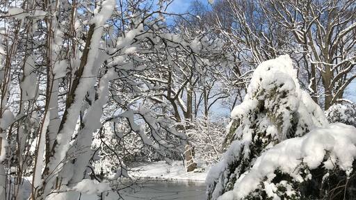 On the northeast coast, there are several flurries of snow in this winter season. But this is the heaviest one and the most beautiful and breathtaking .As soon as the snowing stops, we rush to the garden and try to catch the pretty pictures before sunshine because we want to see all the snows occupied on tips of trees like blooming flowers. We are so excited to catch this exclusive natural beauty.#TroveOn Tuesday