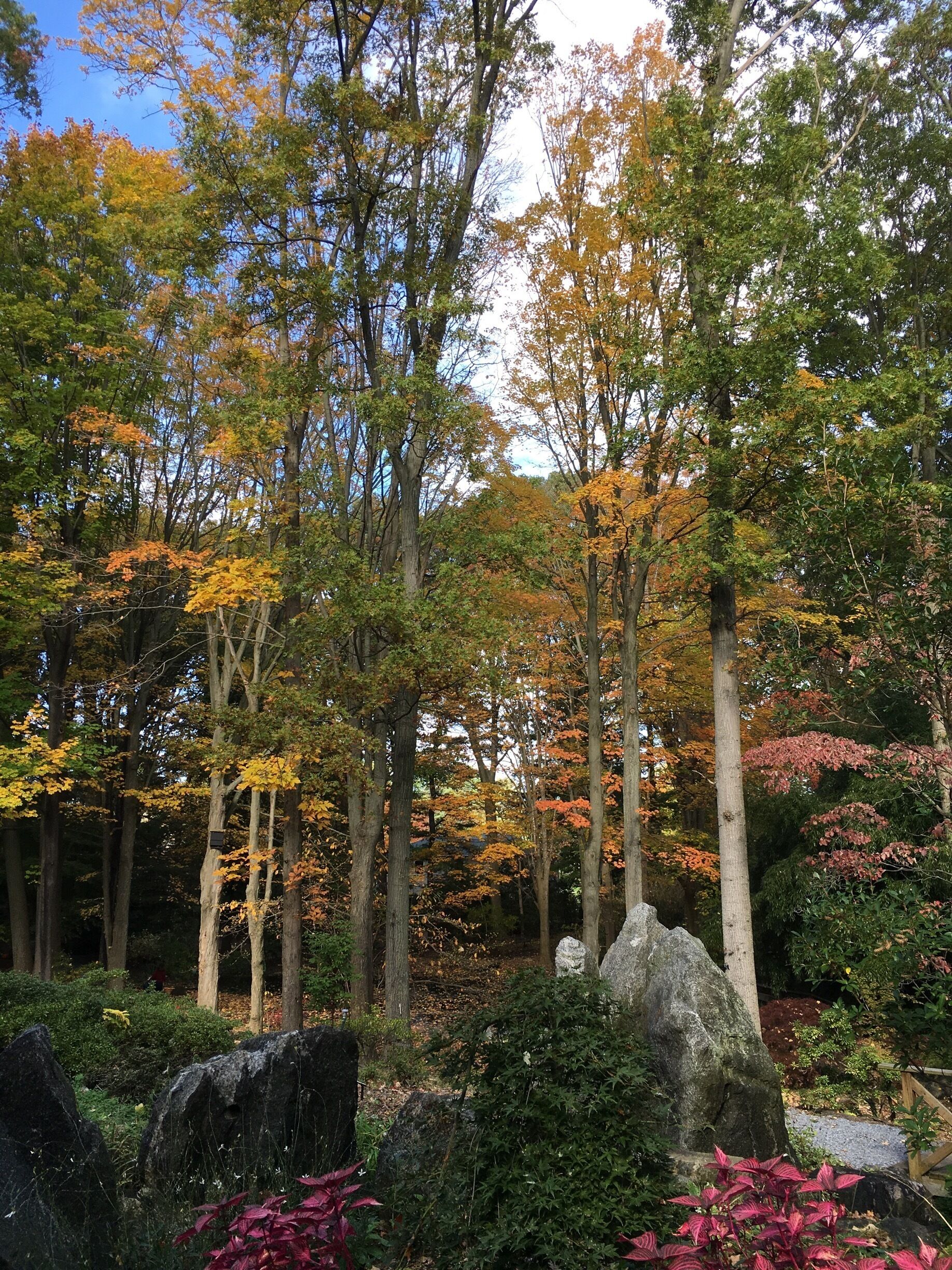 Autumn is the best season for outdoor activities. I enjoyed the brilliant colors and crisp air as I was strolling the garden.#TakeAHike Travel Photo 