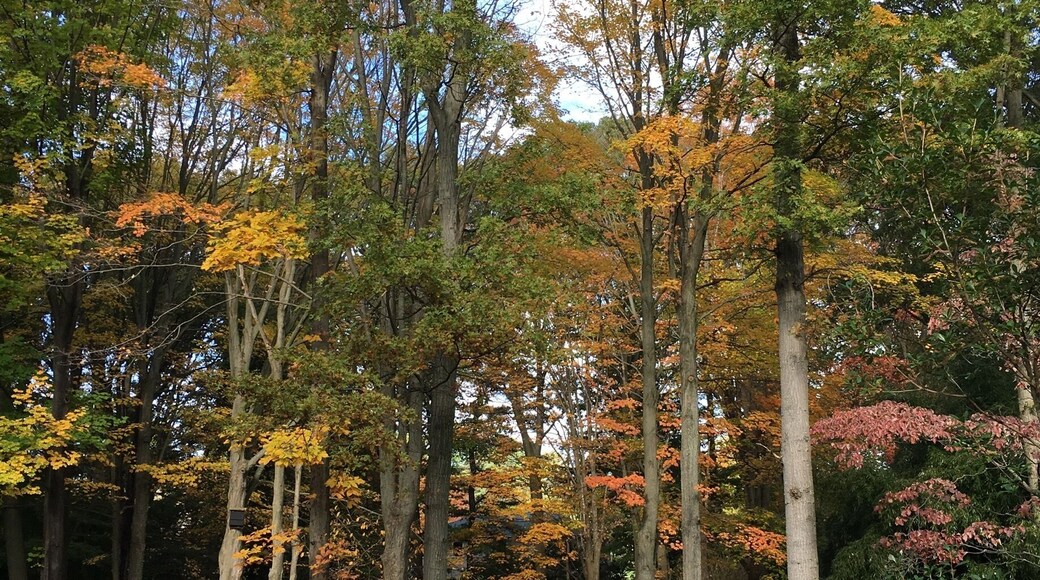 Autumn is the best season for outdoor activities. I enjoyed the brilliant colors and crisp air as I was strolling the garden.#TakeAHike Travel Photo
