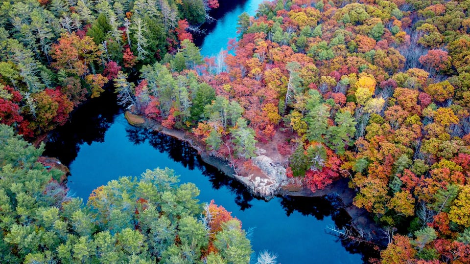 A river winding through a forest with autumn foliage.