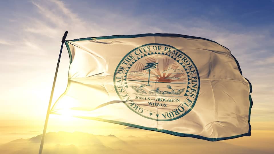 A flag with a circular emblem, a flagpole, and a sunrise in the background.
