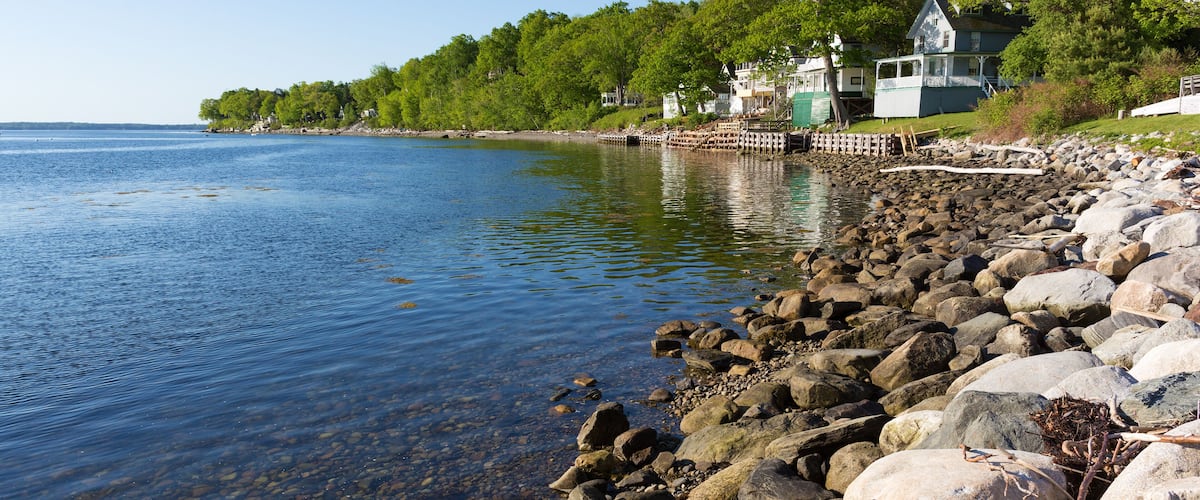 A rocky shoreline with clear water, a wooden dock, and houses in the background.