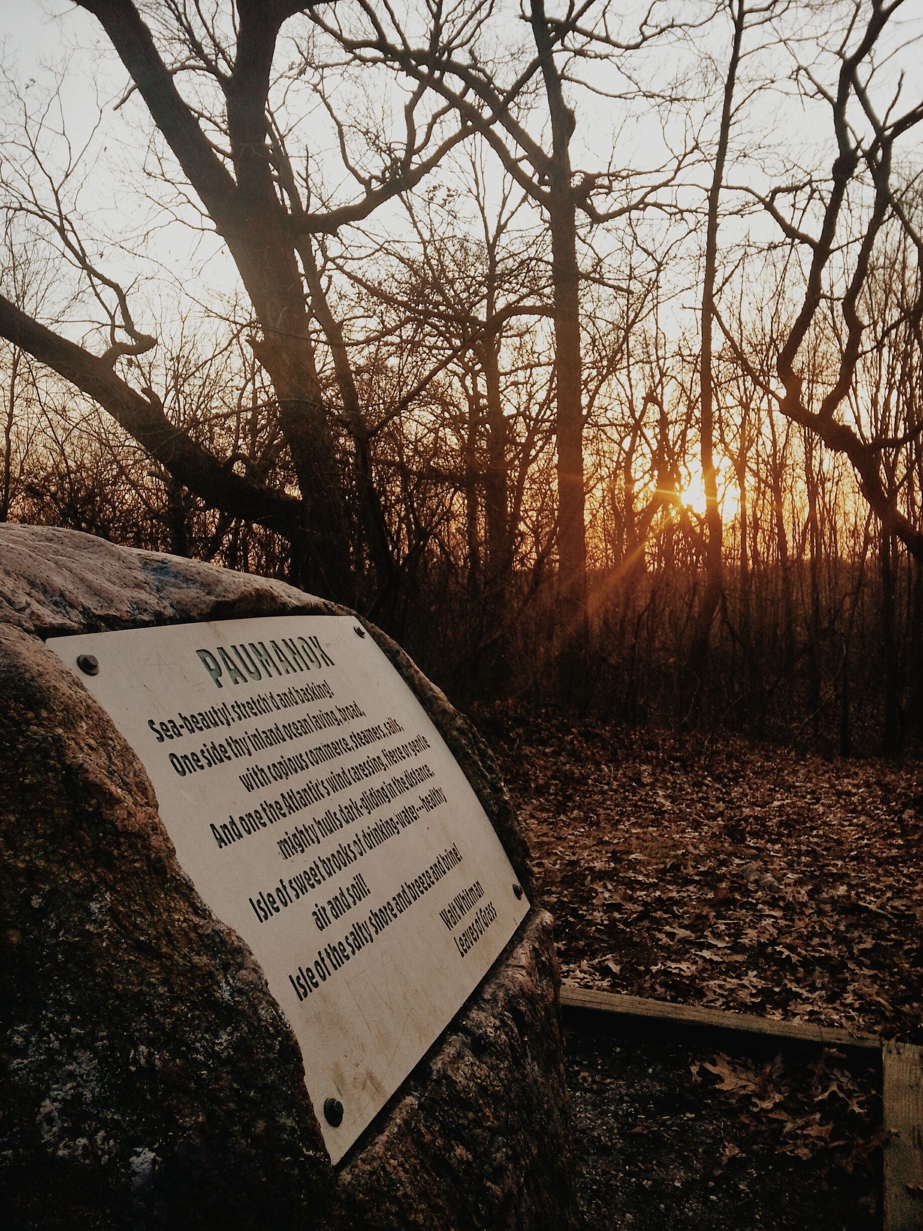 Highest point on Long Island. You wouldn't know it but there was a time, before the trees blocked the way, when you could see to Connecticut on a clear day. Marked with a poem by native son, Walt Whitman, the spot is a quiet place with benches and the meeting point of spiraling trails. Paumanok is the indigenous name for Long Island, Whitman refered to his home almost exclusively by this name. #waltwhitman #poets #roadtrip