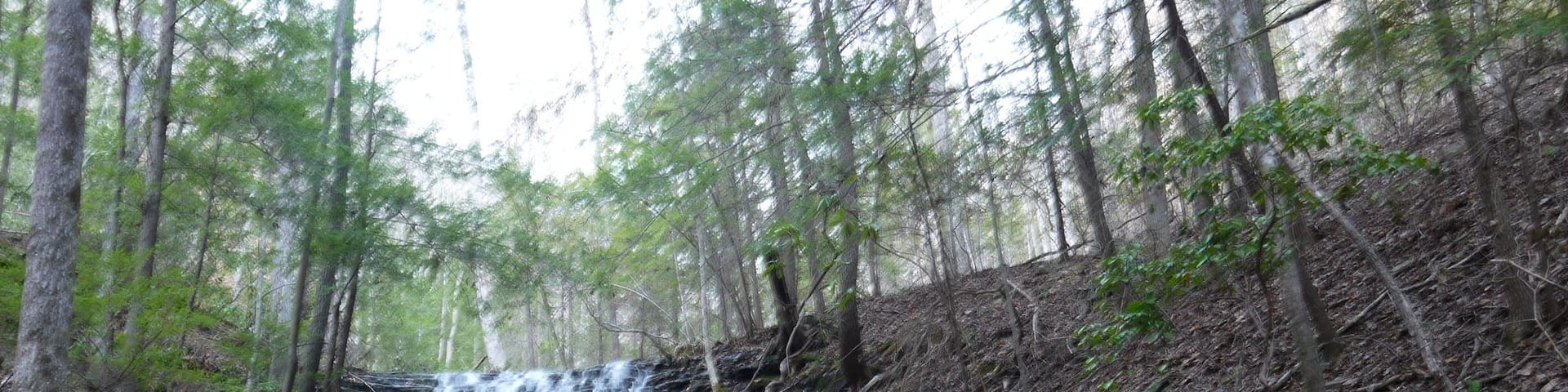 Leggett Branch Cascades, Near the Rock Creek Campsite on the Cumberland Trail