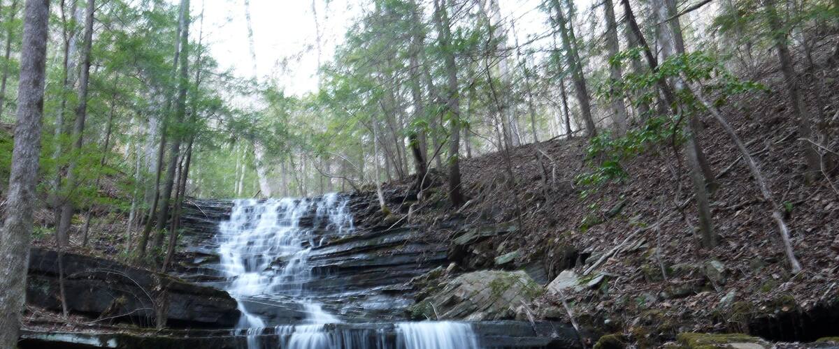 A multi-tiered waterfall in a forested area with rocky terrain and dense trees.