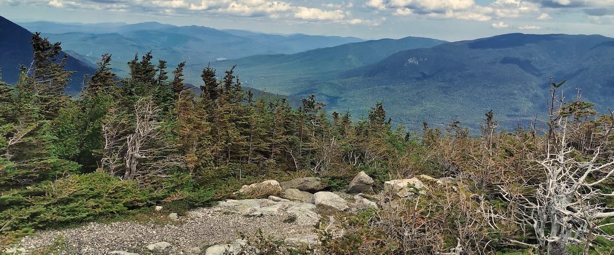 Driving up to Mt Washington
#Adventure #nature