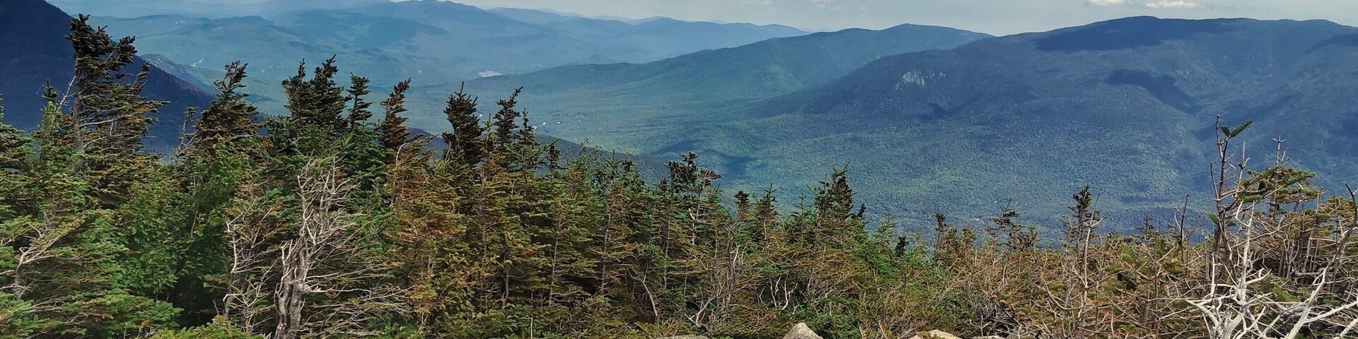 Driving up to Mt Washington
#Adventure #nature