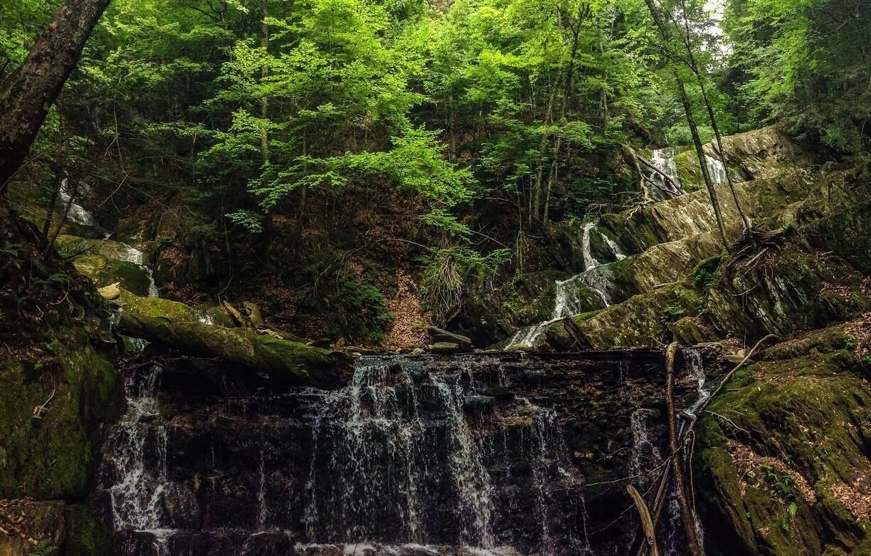 A forested area with a waterfall cascading over rocks.