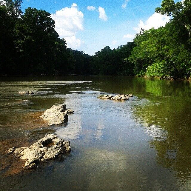 #etowah #river #nature #naturalbeauty #ig_nature #instagram #outside #kayaking #georgia #ga