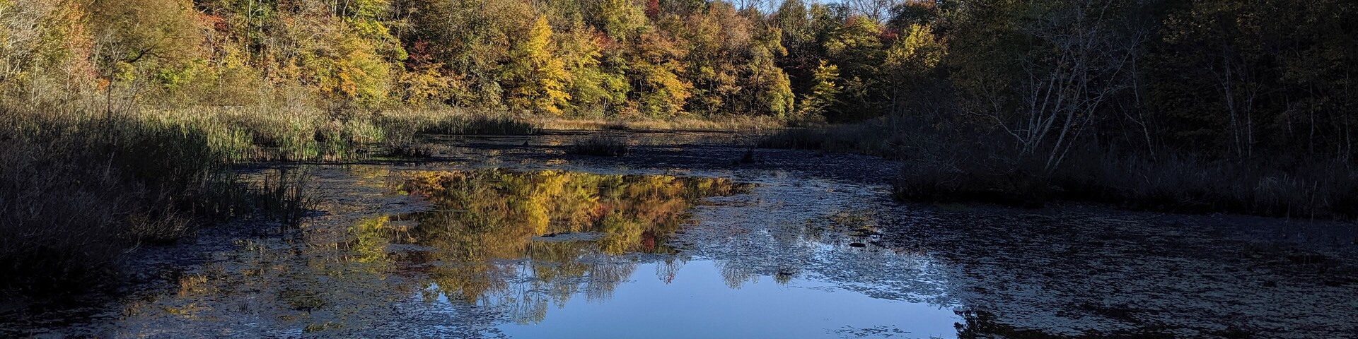 About 3.5 miles into the Mammoth Caves Railroad Trail (staying at the Visitors Center) is Sloan's Crossing Pond. Beautiful! #outdoors #kentucky #hiddengem #nationalpark