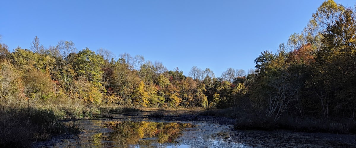 A calm river reflecting trees with autumn foliage.