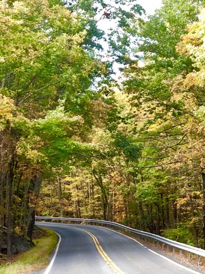Scenic driving #Greatoutdoors #NY