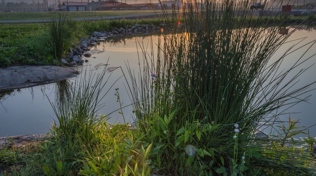 Pumpkin Park at Milton, WV