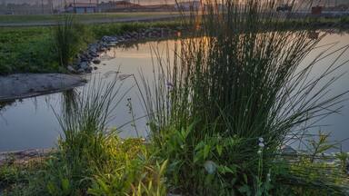 Pumpkin Park at Milton, WV