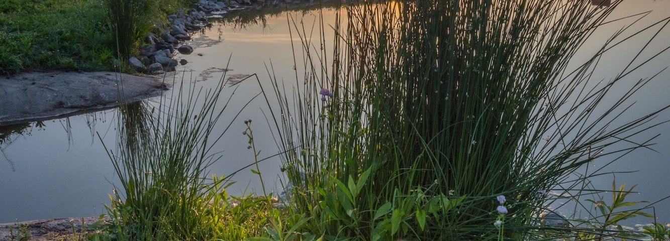Pumpkin Park at Milton, WV