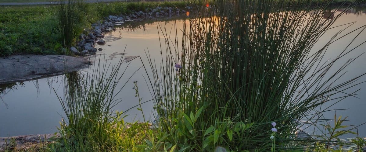 A calm river with tall grasses and a path leading to a small building in the distance.