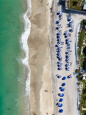 Sunbathers enjoying a sunny beach day at Vero Beach, Florida in Indian River County.