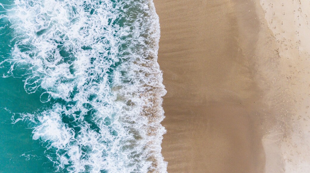 Indian River Shores