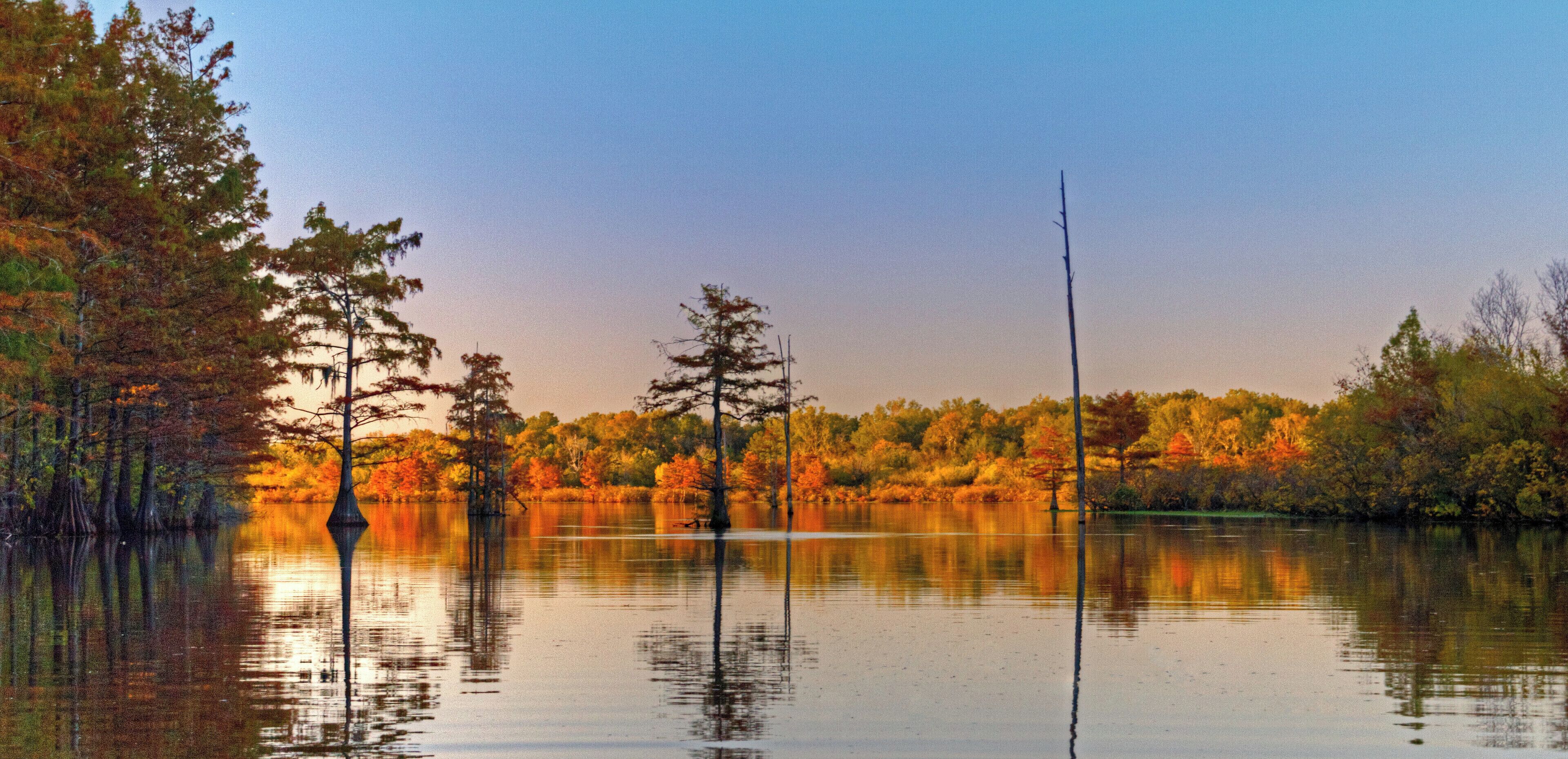 We were heading north leaving Harrell Lake around sunset. Harrell lake was in the shadows, while the lake up ahead was back lite with the sun. This made for an interesting fall photo of Finch Lake.
#Louisiana  #outdoor #Monroe #Marion #Union #Parish #Swamp #Camping #Finch #Lake #scenic #natural