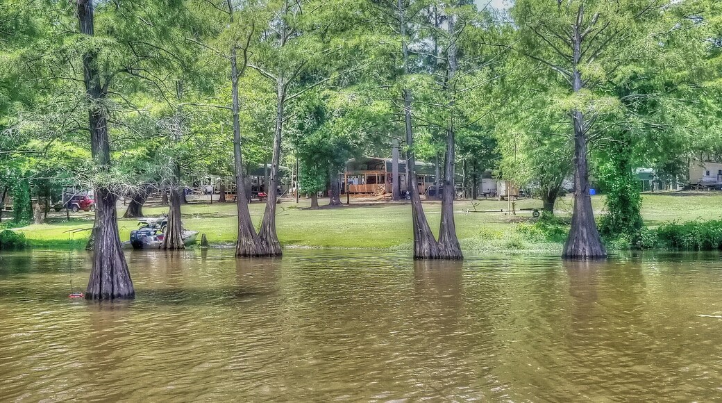 After the big flood of 2018 life has returned back to normal at Finch Lake Campground
#Louisiana #outdoor #Monroe #Marion #Union #Parish #Swamp #Camping #Finch #Lake #campground #scenic #natural