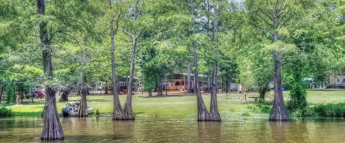 After the big flood of 2018 life has returned back to normal at Finch Lake Campground
#Louisiana #outdoor #Monroe #Marion #Union #Parish #Swamp #Camping #Finch #Lake #campground #scenic #natural