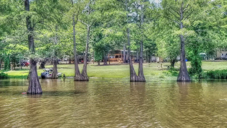 After the big flood of 2018 life has returned back to normal at Finch Lake Campground
#Louisiana #outdoor #Monroe #Marion #Union #Parish #Swamp #Camping #Finch #Lake #campground #scenic #natural