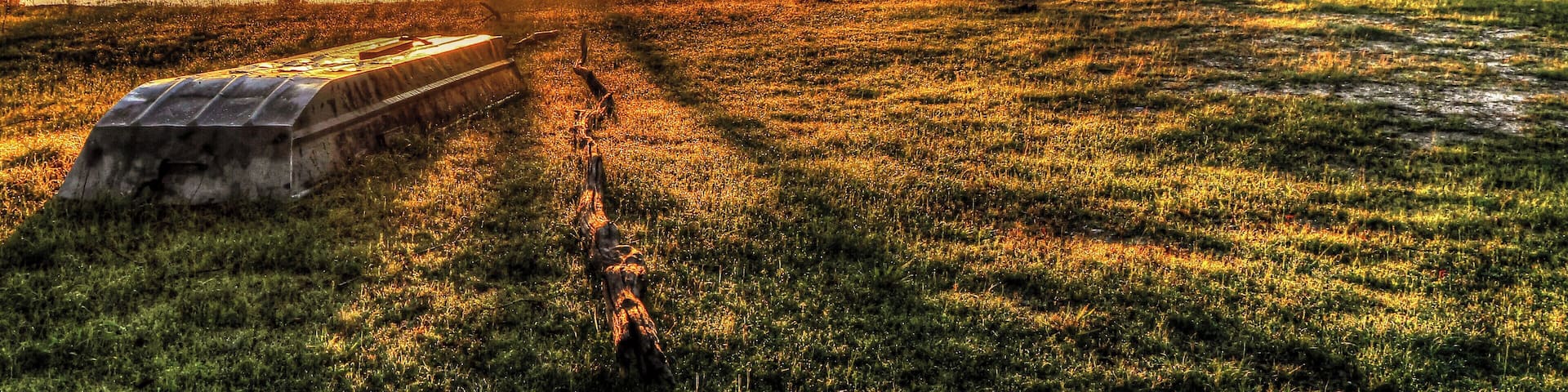 This is a beautiful natural swamp wonderland. It is surrounded by the Upper Ouachita National Wildlife area. Most of the land around the lake is untouched by man.
#Louisiana #outdoor #Monroe #Marion #Union #Parish #Swamp #Camping #Finch #Lake #scenic #natural #GreatOutdoors