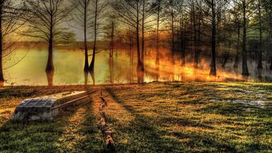 This is a beautiful natural swamp wonderland. It is surrounded by the Upper Ouachita National Wildlife area. Most of the land around the lake is untouched by man.
#Louisiana #outdoor #Monroe #Marion #Union #Parish #Swamp #Camping #Finch #Lake #scenic #natural #GreatOutdoors