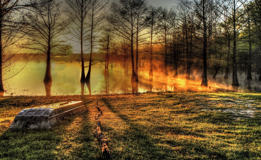 This is a beautiful natural swamp wonderland.  It is surrounded by the Upper Ouachita National Wildlife area. Most of the land around the lake is untouched by man.
#Louisiana  #outdoor #Monroe #Marion #Union #Parish #Swamp #Camping #Finch #Lake #scenic #natural #GreatOutdoors