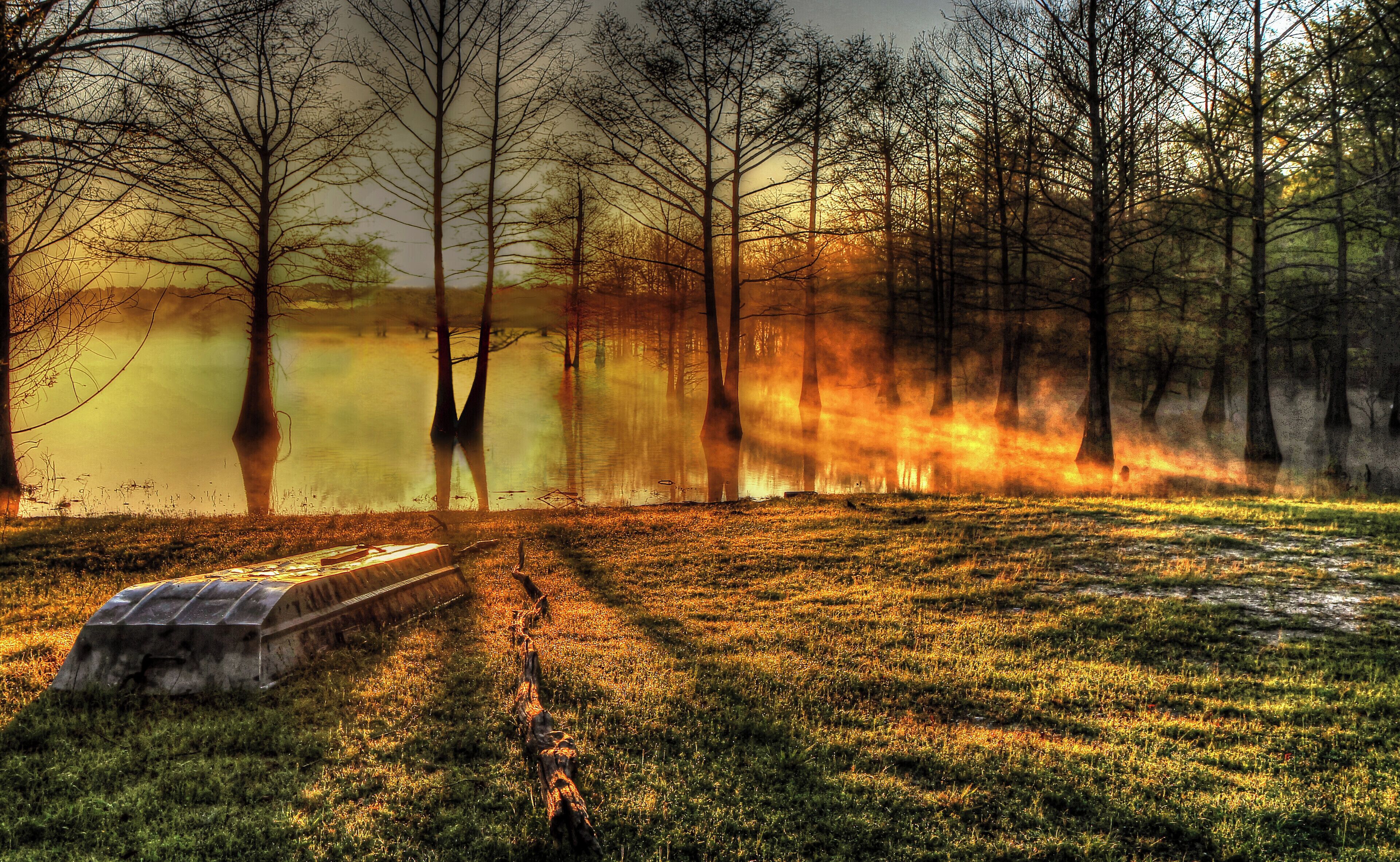 A forest with a path leading to a body of water, surrounded by trees and a tractor.