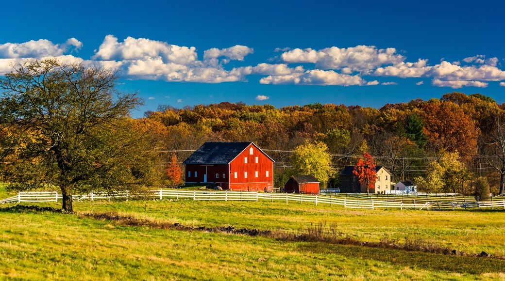 Tree and barn on the battlefield at Gettysburg, Pennsylvania.