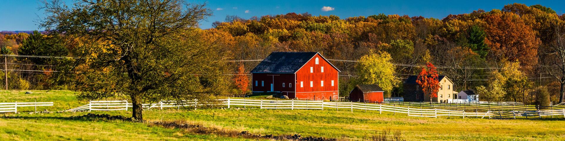 Tree and barn on the battlefield at Gettysburg, Pennsylvania.