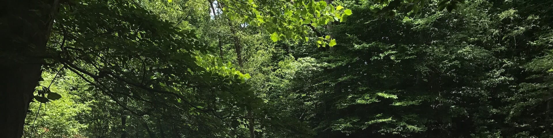 Only about 1/4 mi down the trail...not really anywhere to park yet, but the park ranger at the Mayo River State Park office will give you directions if you need!