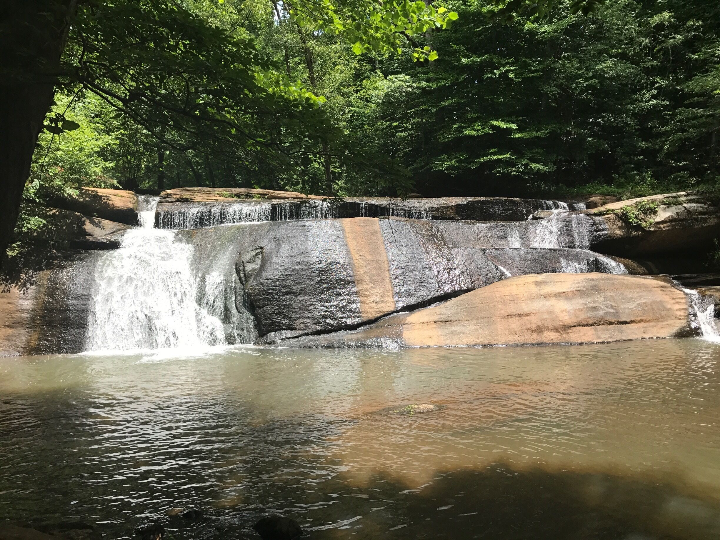 A waterfall cascading over a rocky ledge surrounded by dense green foliage.