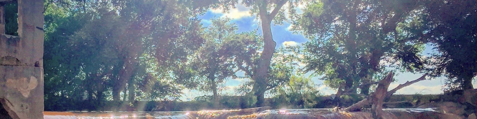 A friend and I found this gem a few years back, and I always come back each time I come to town. Today the water was rushing over the dam with such a powerful force, the giant tree you see in the picture was bouncing up and down. Force of nature!