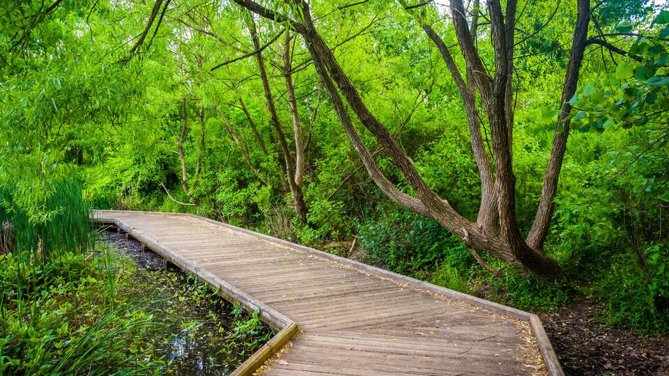 Boardwalk trail at Patterson Park, Baltimore, Maryland.