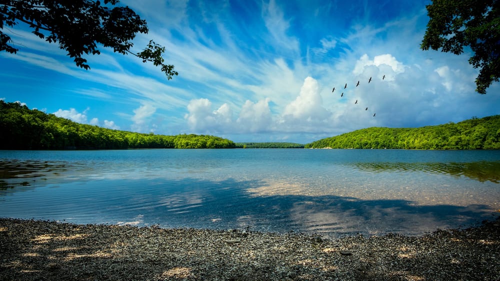 A calm lake surrounded by dense green forest and a clear sky with birds flying.