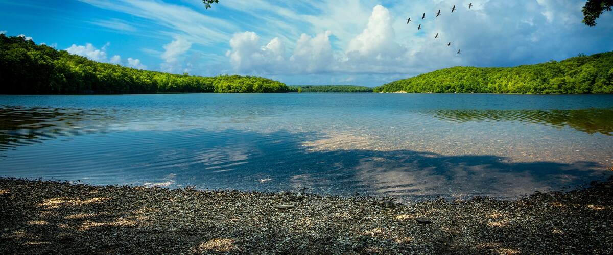 A calm lake surrounded by dense green forest and a clear sky with birds flying.
