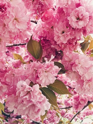 #SpringFun