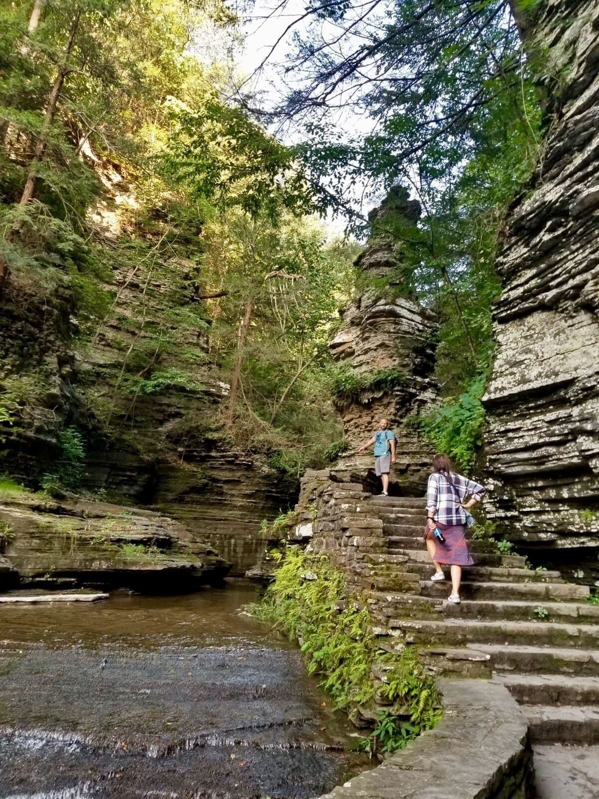 A rocky canyon with a stream, surrounded by dense green foliage.