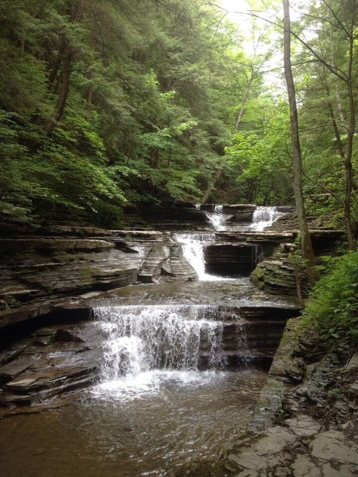 A waterfall cascading over rocky terrain surrounded by dense green foliage.