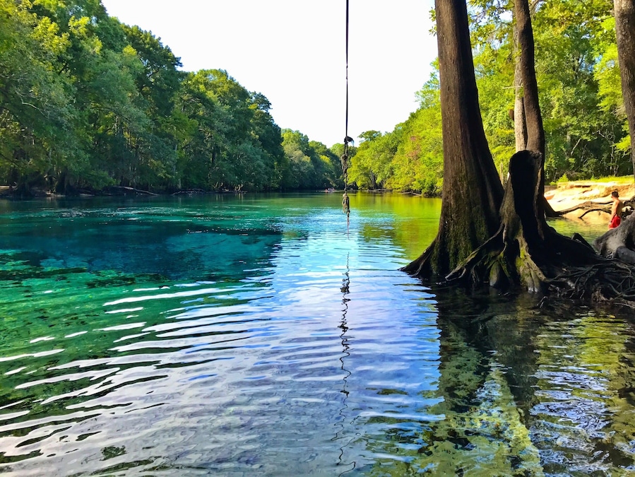 #AquaTrove Quiet day kayaking Cypress Springs and Holmes Creek. Great paddling trail in Vernon FL.