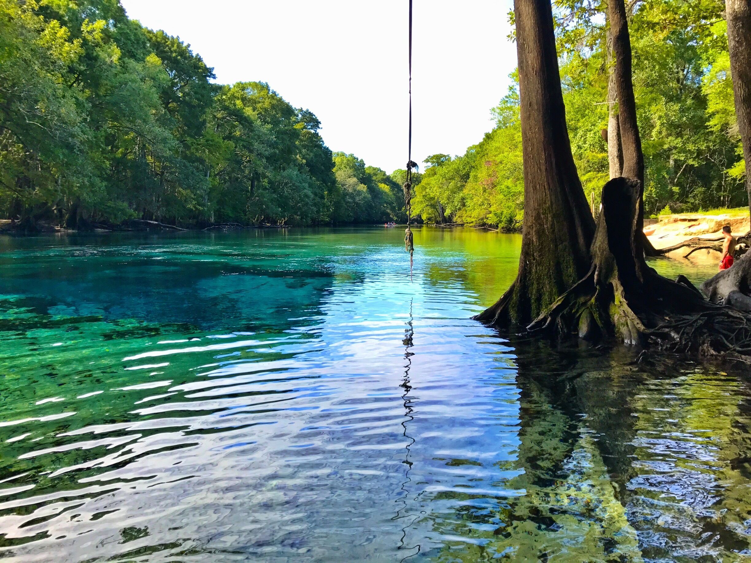 #AquaTrove Quiet day kayaking Cypress Springs and Holmes Creek.  Great paddling trail in Vernon FL.