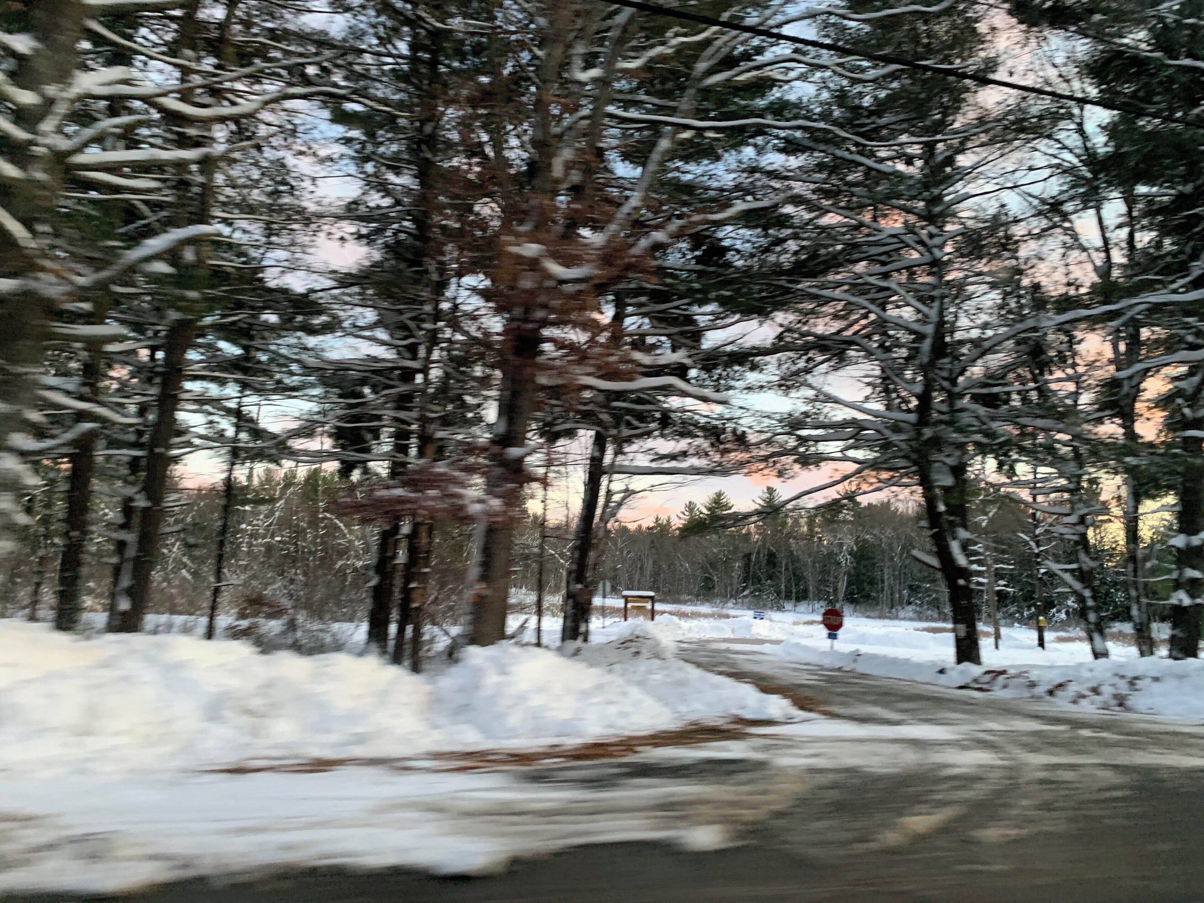 A snow-covered road flanked by tall trees with a sunset in the background.