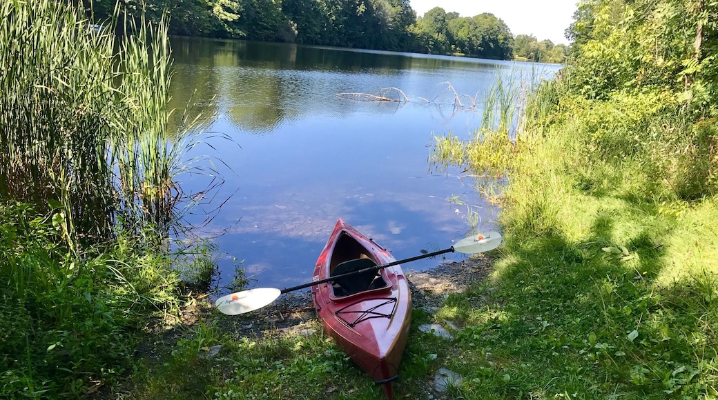 Went for a little post-work paddle up the Sabasticook river after work today, 28Aug17