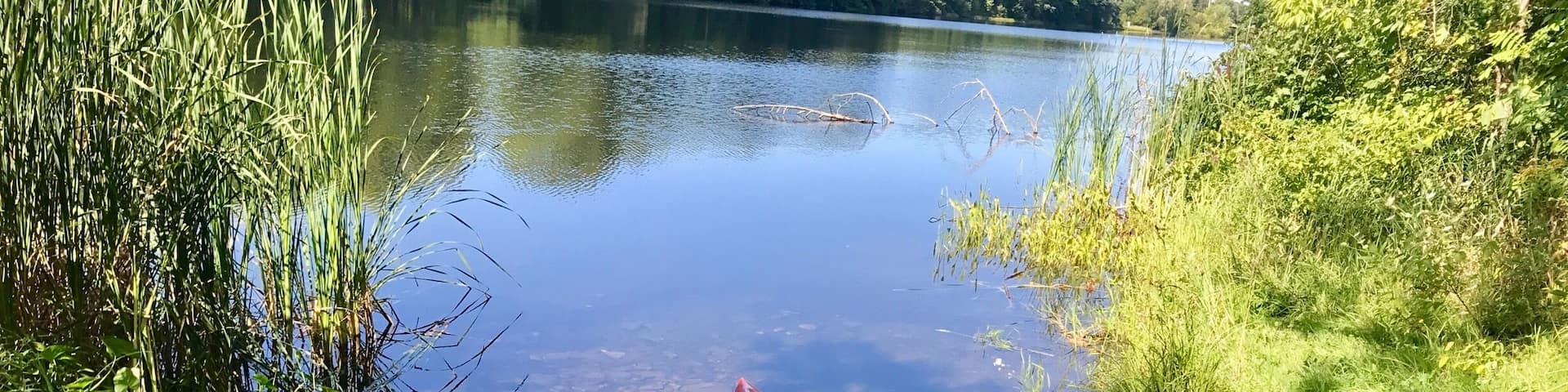 Went for a little post-work paddle up the Sabasticook river after work today, 28Aug17
