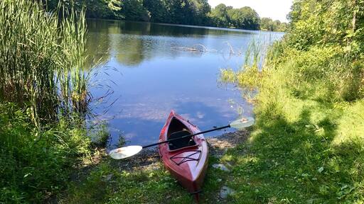 Went for a little post-work paddle up the Sabasticook river after work today, 28Aug17